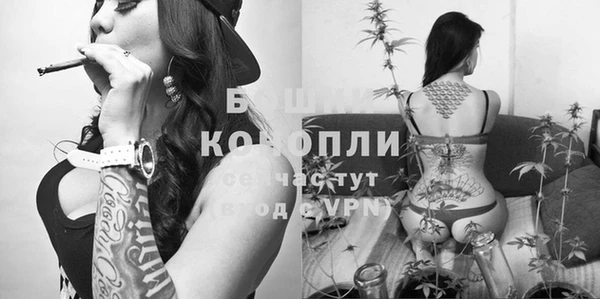 гидра Белокуриха
