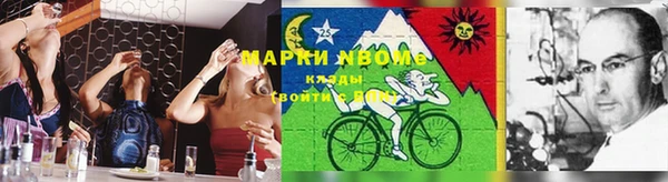 гидра Белокуриха