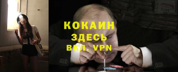 гидра Белокуриха