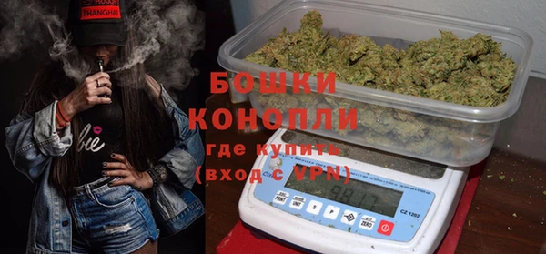 гидра Белокуриха