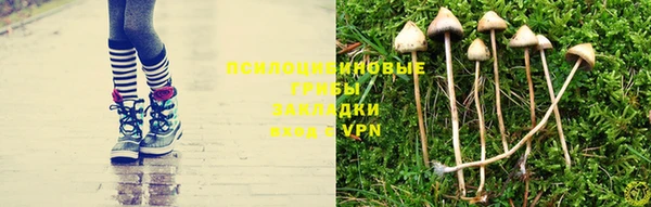 гидра Белокуриха