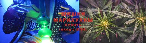 гидра Белокуриха