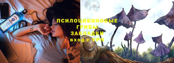гидра Белокуриха